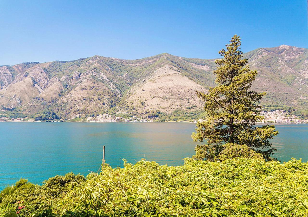 Villa Donkovic Kotor Eksteriør billede